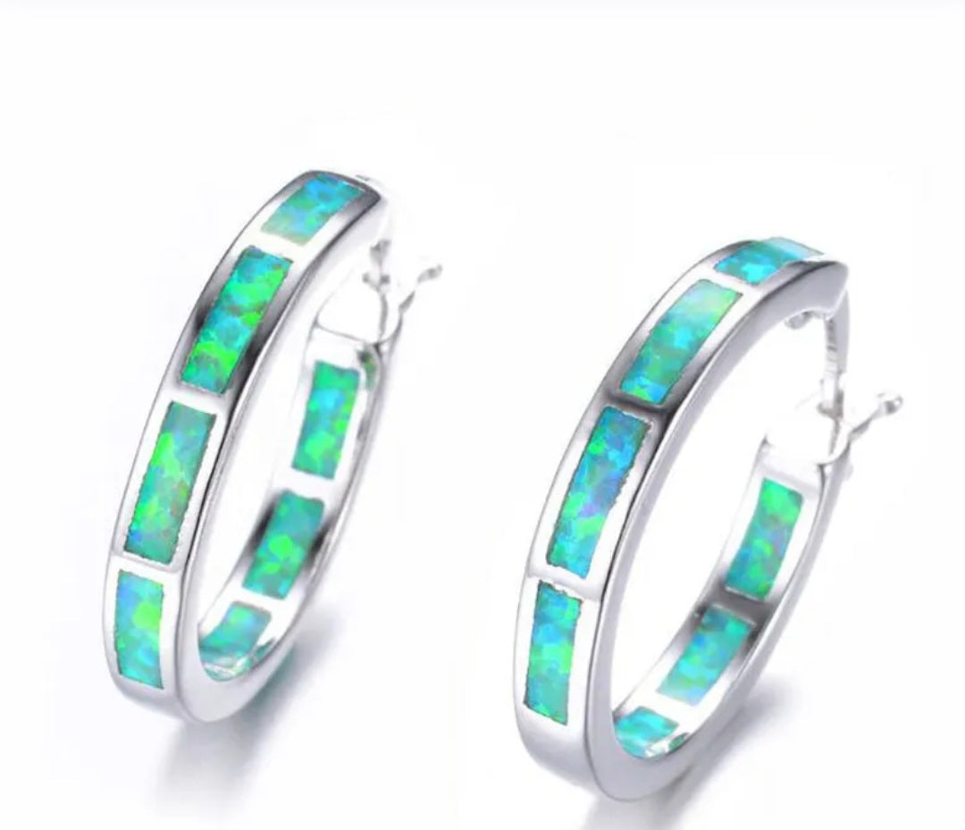 Blue- Green Women's Fashion Snap Bar Closure Earrings