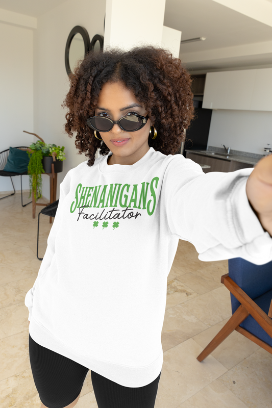 Shenanigan's Facilitator Regular & Plus Long or Short Sleeve Tee Shirt