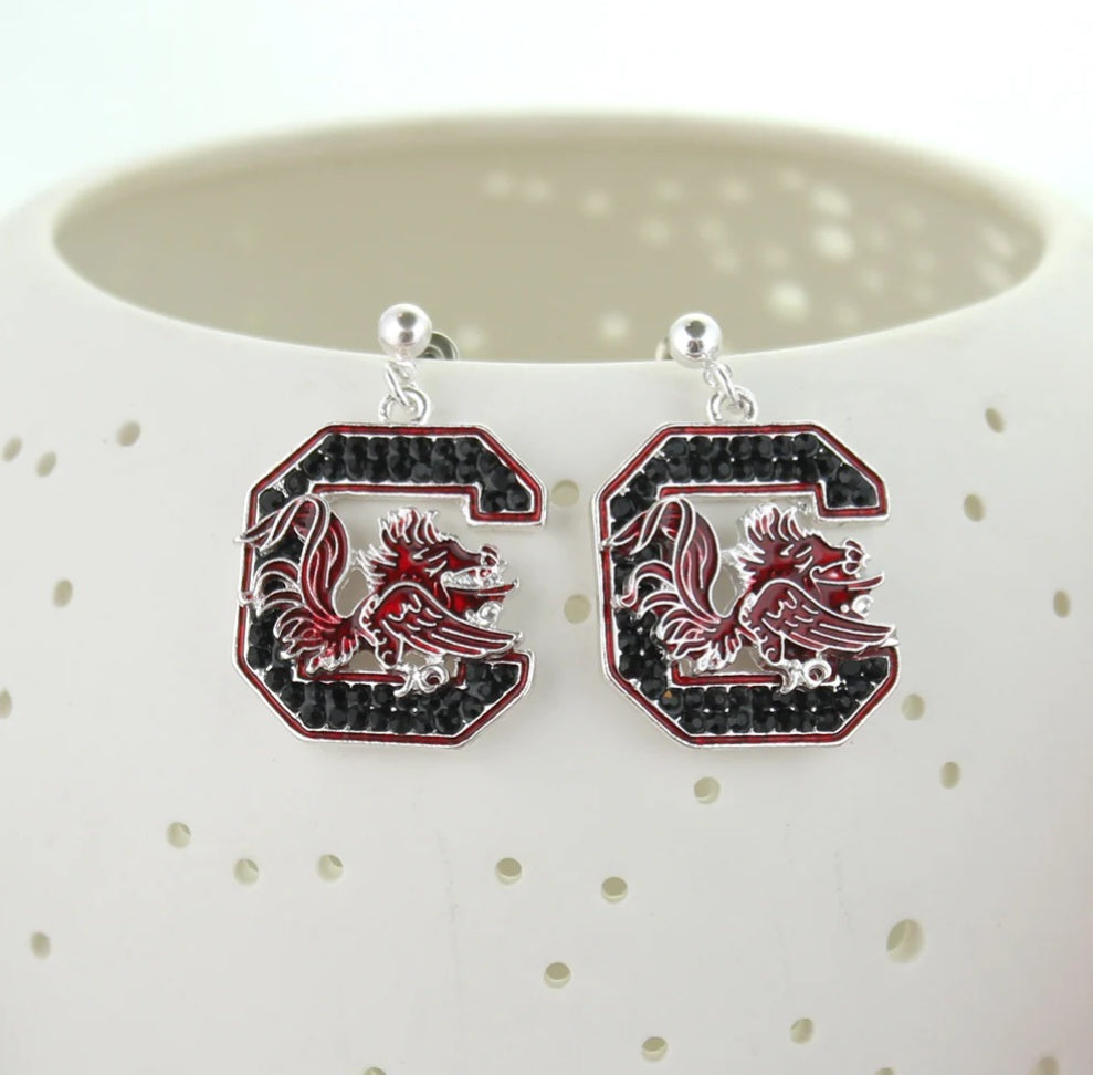 Your Favorite Collegiate Team's Logo Earrings