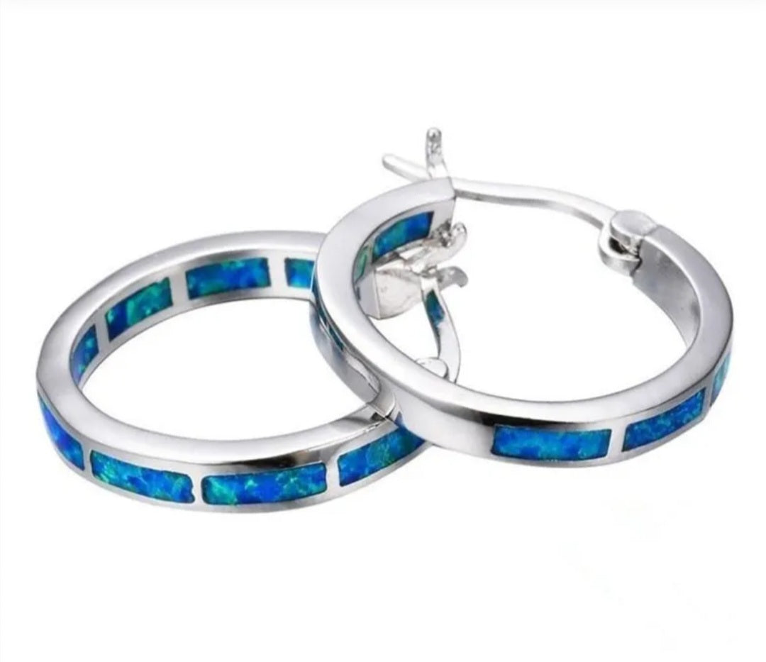 Deep Blue Women's Fashion Snap Bar Closure Earrings