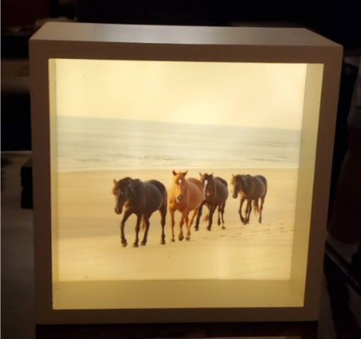 LED Lighted 6"x6" Horses Photo Box