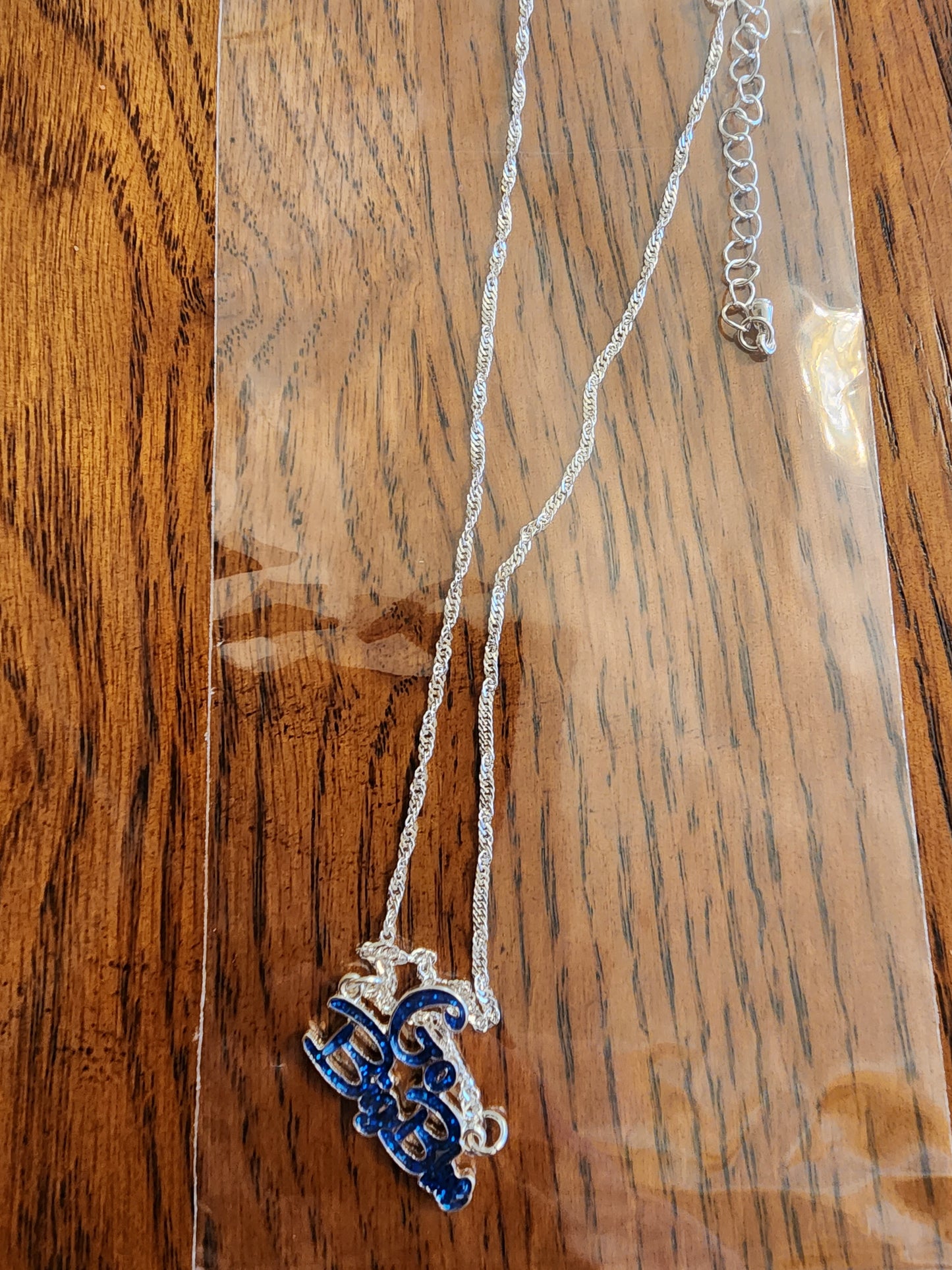 Your Favorite Collegiate Team's Logo or Slogan Necklace